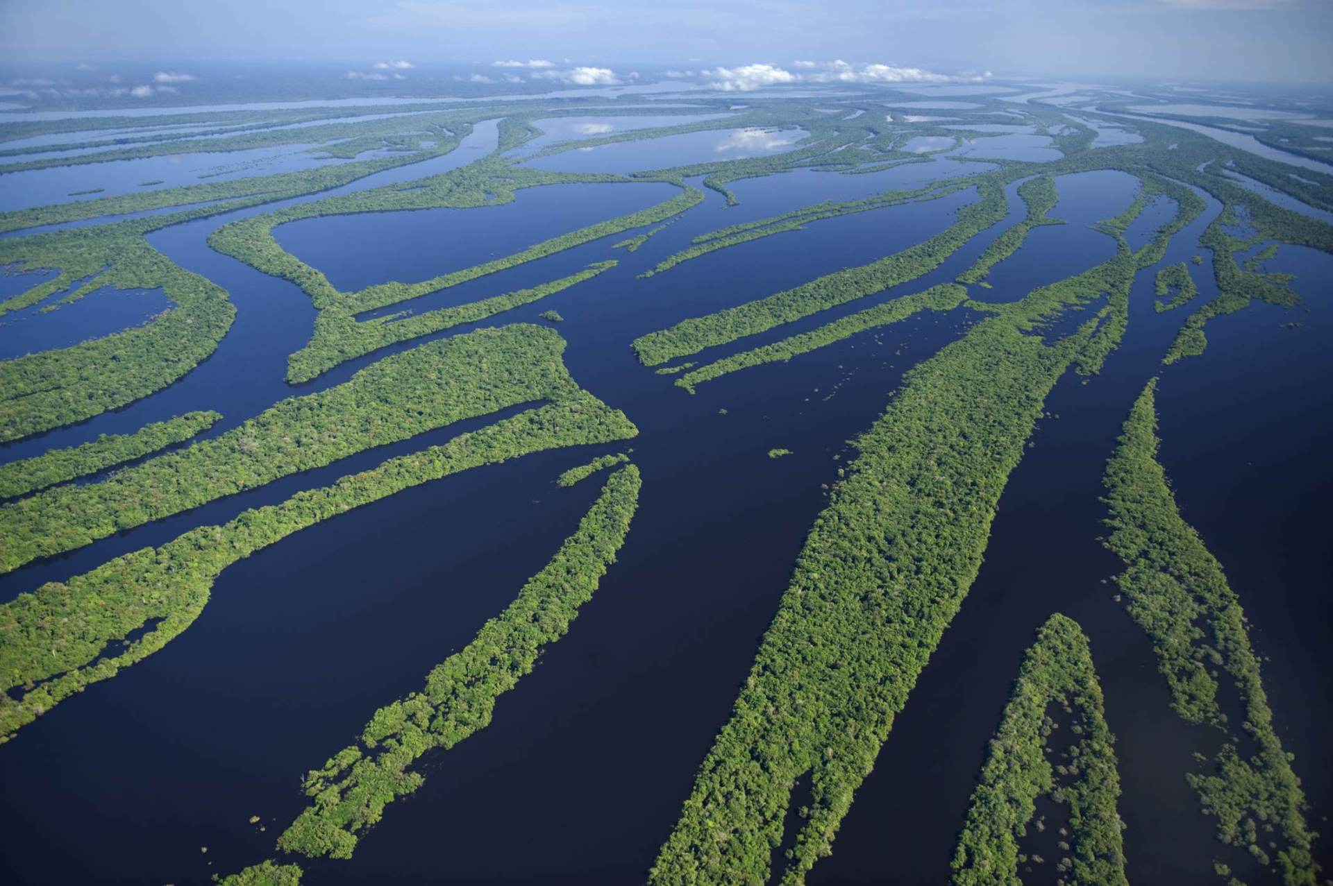 A Amazônia abriga a maior bacia hidrográfica do mundo, a Bacia Amazônica, que de